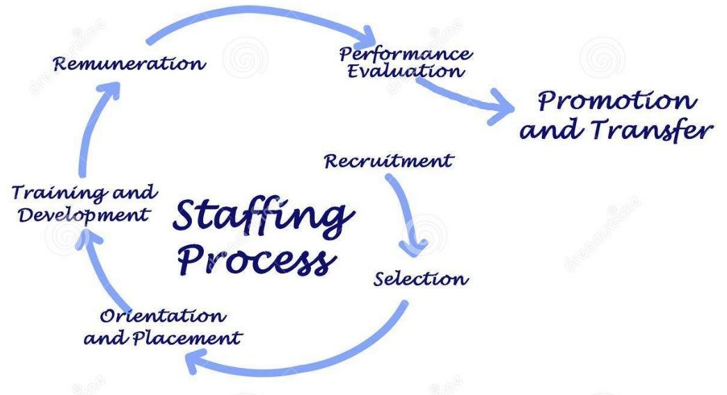 WhatsApp Image 2024-10-02 at 8.26.21 PM